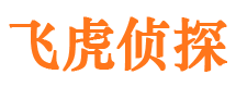 白碱滩市婚外情调查